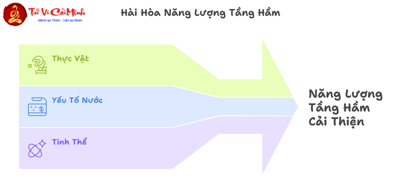 Phong Thủy Tầng Hầm: Nguyên Tắc Và Giải Pháp Tối Ưu
