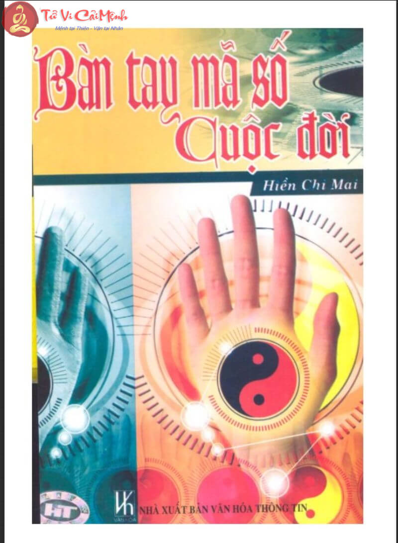 Khám Phá Bí Mật Cuộc Đời Qua "Bàn Tay Mã Số Cuộc Đời" – Hướng Dẫn Số Học Ứng Dụng Mới Nhất
