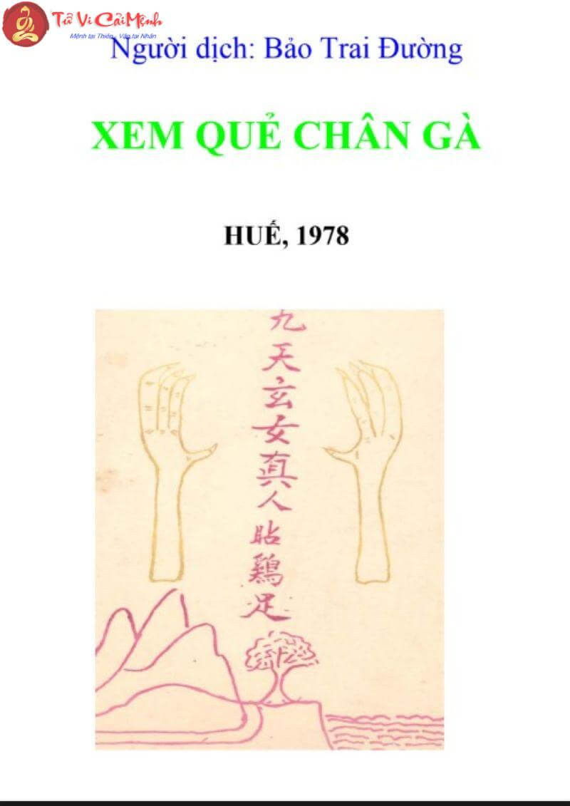 Bí Ẩn Quẻ Chân Gà: Sự Thật Khiến Bạn Suy Nghĩ Lại Về Bói Toán!