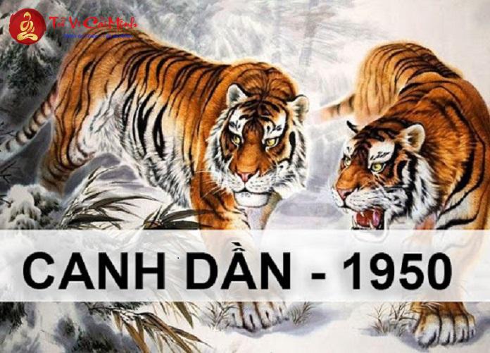 Khám Phá Màu Sắc Phong Thủy May Mắn Cho Tuổi Canh Dần 1950