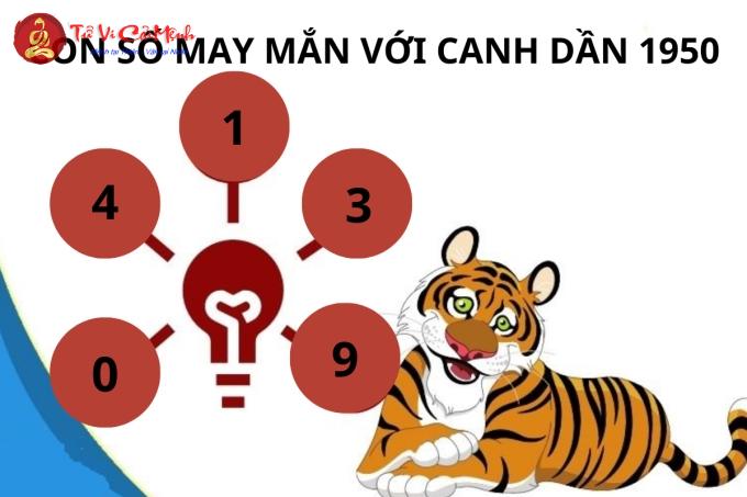 Sinh năm 1950: Con Số May Mắn và Bí Quyết Chọn Sim Phong Thủy Giúp Bạn Thu Hút Tài Lộc