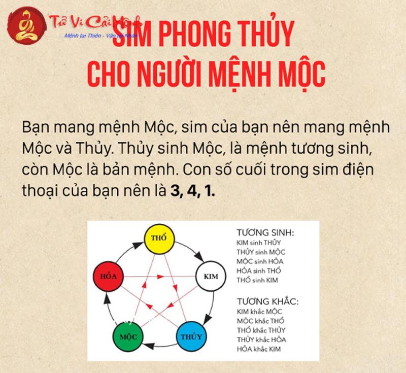 Sinh năm 1950: Con Số May Mắn và Bí Quyết Chọn Sim Phong Thủy Giúp Bạn Thu Hút Tài Lộc