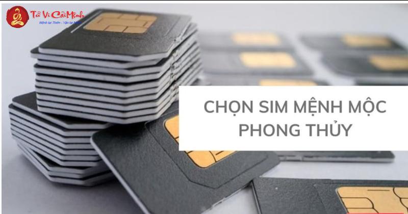 Người Sinh Năm 1951 Hợp Số Nào Để Tăng Tài Lộc? Bí Quyết Chọn Sim Phong Thủy Hiệu Quả