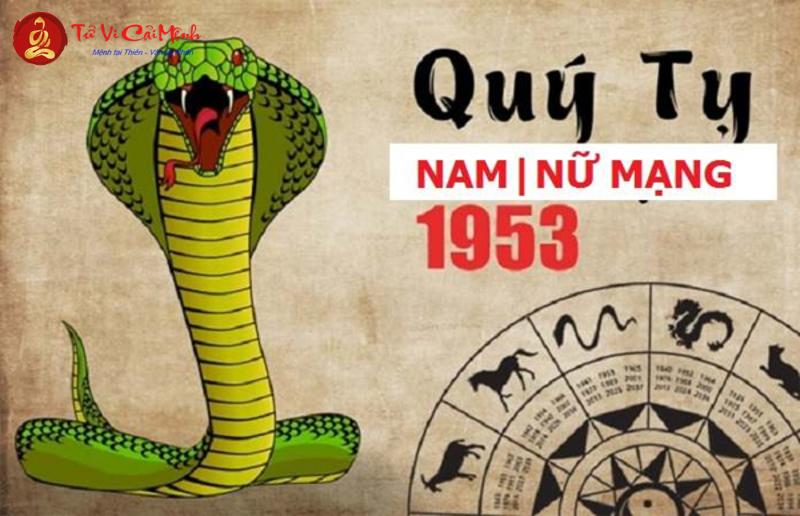 Người Sinh Năm 1953 Hợp Màu Gì Để Mang Lại May Mắn, Tài Lộc?