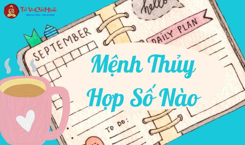 Khám Phá Bí Mật: Sinh Năm 1953 Hợp Số Mấy? Lựa Chọn Sim Phong Thủy Đón Tài Lộc