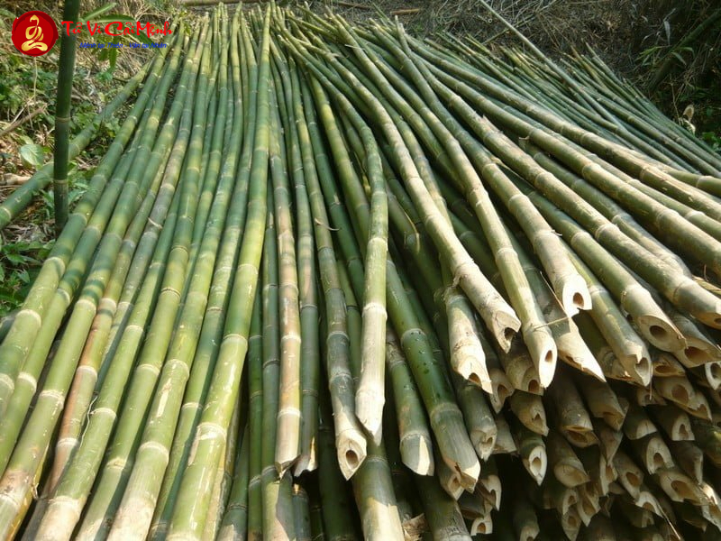 Táng Cụ: Bí Ẩn Văn Hóa Mai Táng Cổ Đại Việt Nam