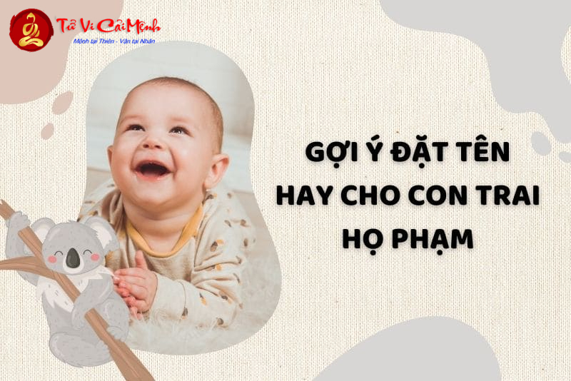 Tên Con Trai Họ Phạm: Gợi Ý Đặt Tên Hay Và Ý Nghĩa Cho Bé Trai