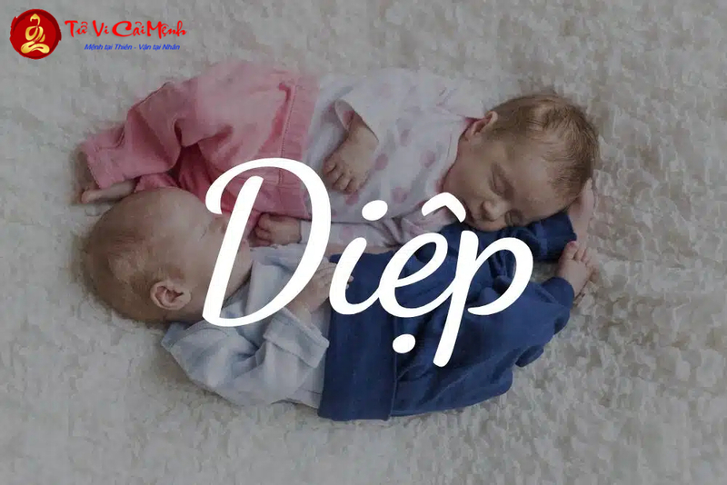 Tên Diệu Có Ý Nghĩa Gì - Khám Phá Ý Nghĩa Sâu Sắc Của Cái Tên Đẹp