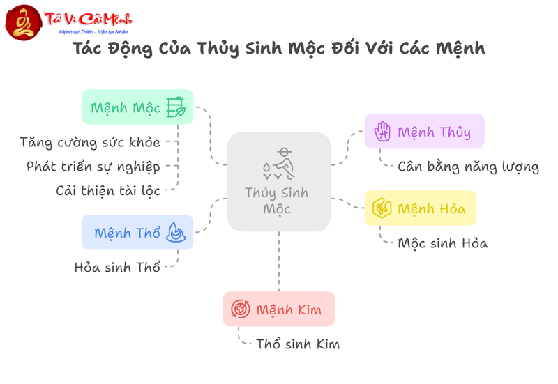 Thủy Sinh Mộc - Nguyên Lý Tương Sinh Căn Bản Trong Phong Thủy