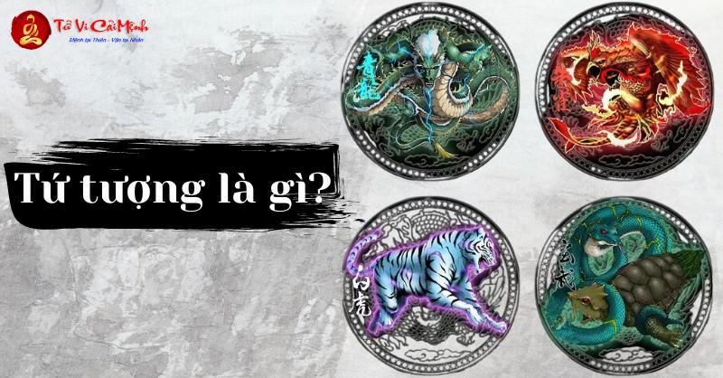 Tứ Tượng Trong Phong Thủy: Bí Mật Linh Vật Bảo Vệ