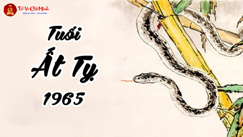 Tuổi Xông Đất Cho Gia Chủ Sinh Năm 1965 (Ất Tỵ): Chọn Người May Mắn