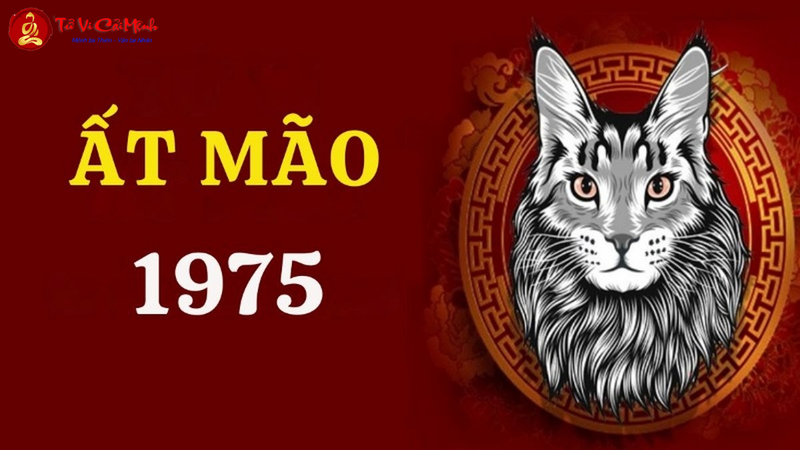 Tuổi Xông Đất Cho Gia Chủ Sinh Năm 1975 (Ất Mão): Cẩm Nang Chọn Người May Mắn