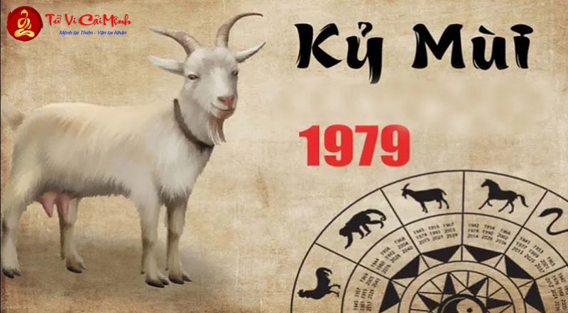 Tuổi Xông Đất Cho Gia Chủ Sinh Năm 1979 (Kỷ Mùi): Chọn Người Phù Hợp Theo Phong Thủy