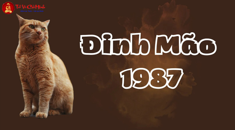 Tuổi Xông Đất Cho Gia Chủ Sinh Năm 1987 (Đinh Mão): Hướng Dẫn Chọn Người Thành Công