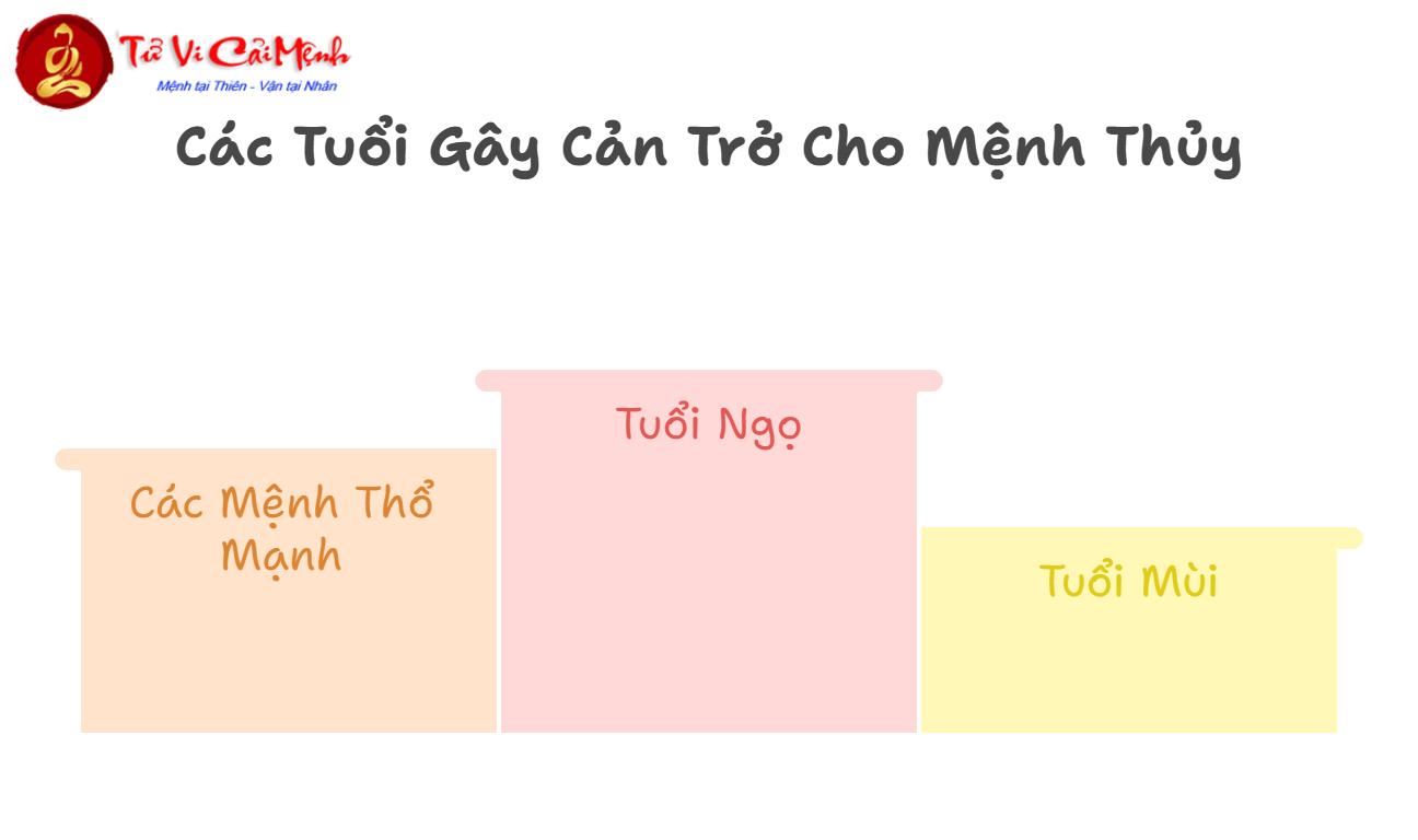 Tuổi Xông Đất Cho Gia Chủ Sinh Năm 1996 (Bính Tý): Chọn Người Hợp Mệnh Thủy