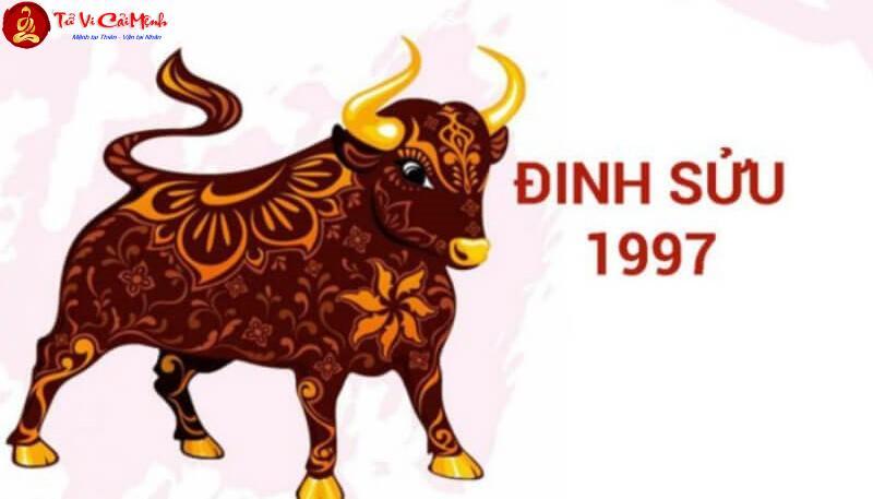 Tuổi Xông Đất Cho Gia Chủ Sinh Năm 1997: Hướng Dẫn Chọn Người May Mắn Cho Đinh Sửu