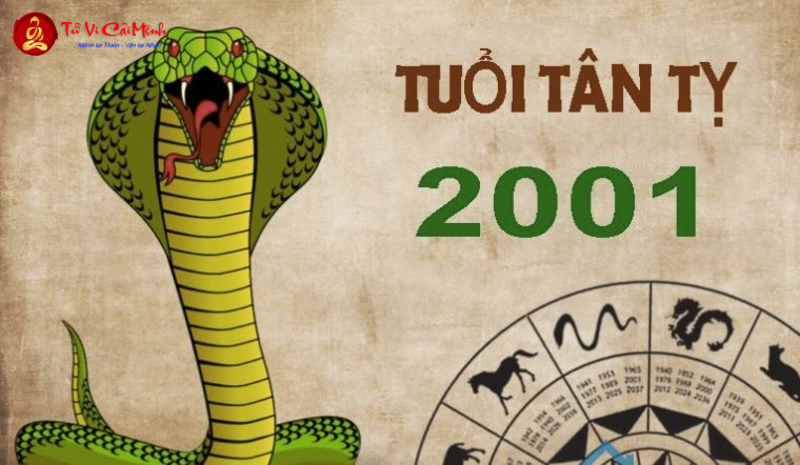 Tuổi Xông Đất Cho Gia Chủ Sinh Năm 2001 (Tân Tỵ): Hướng Dẫn Chi Tiết