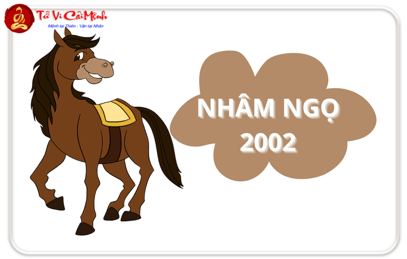 Tuổi Xông Đất Cho Gia Chủ Sinh Năm 2002 (Nhâm Ngọ): Hướng Dẫn Chọn Người Xông Hợp Mệnh Dương Liễu Mộc