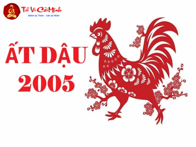 Tuổi Xông Đất Cho Gia Chủ Sinh Năm 2005 (Ất Dậu): Hướng Dẫn Toàn Diện