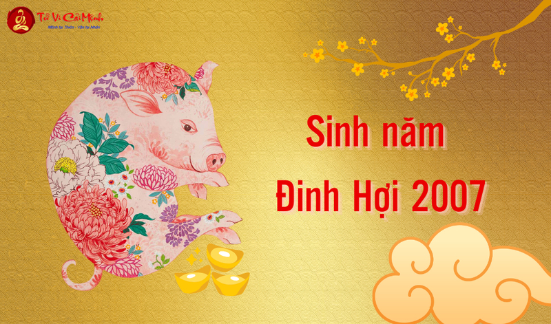 Tuổi Xông Đất Cho Gia Chủ Sinh Năm 2007 (Đinh Hợi): Bí Quyết Chọn Người Mang Lại Ổn Định