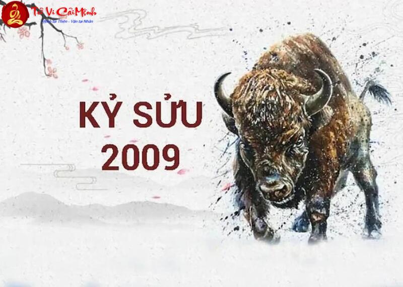 Tuổi Xông Đất Cho Gia Chủ Sinh Năm 2009: Hướng Dẫn Chọn Người May Mắn Cho Kỷ Sửu