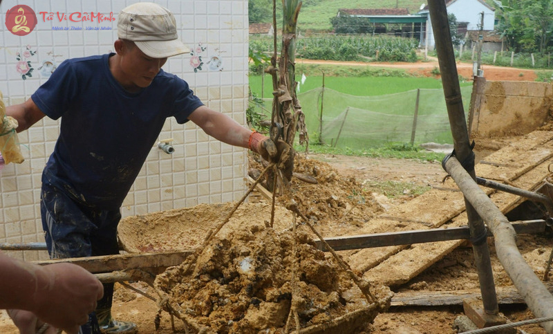 Cách Xem Ngày Tốt Lấp Giếng Để Đón Lộc Vào Nhà