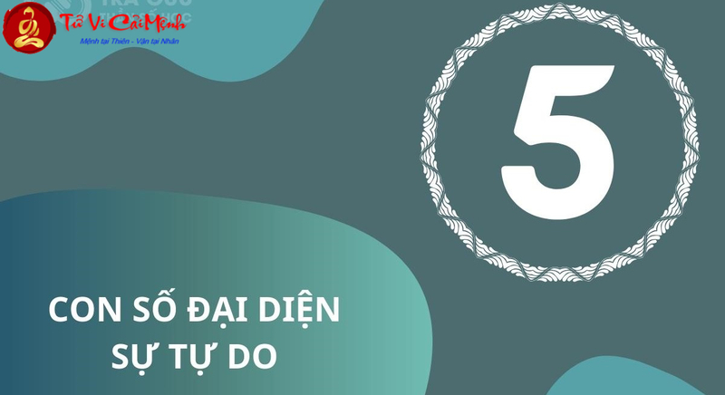 Số 5 Trong Phong Thủy: Biểu Tượng Của Sự Cân Bằng Và Thay Đổi