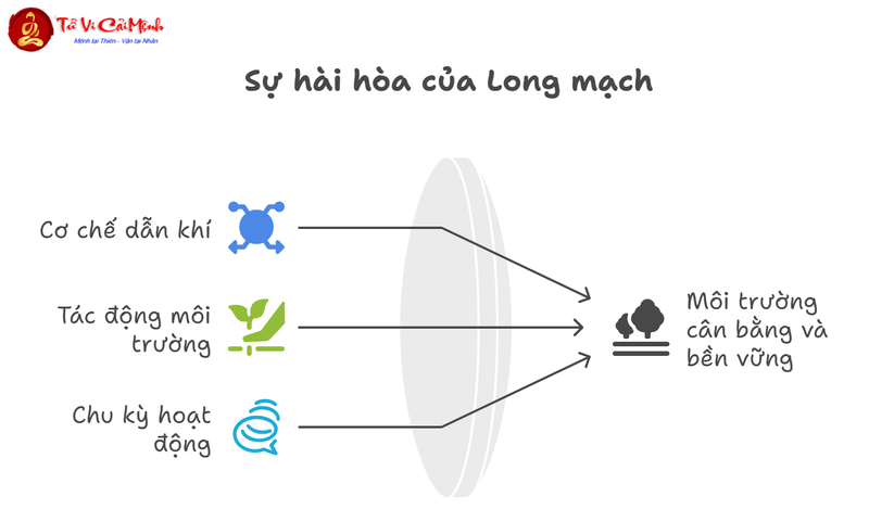Ý Nghĩa Của Can Long Và Chi Long Trong Phong Thủy