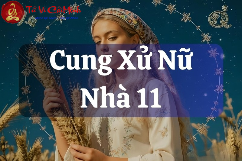 Đỉnh nhà 11 tại 12 cung hoàng đạo