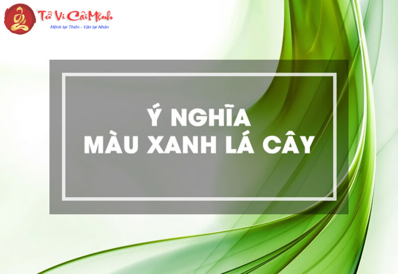 Khám Phá Ý Nghĩa Màu Xanh Lá Trong Phong Thủy: Sự Cân Bằng Và Phát Triển