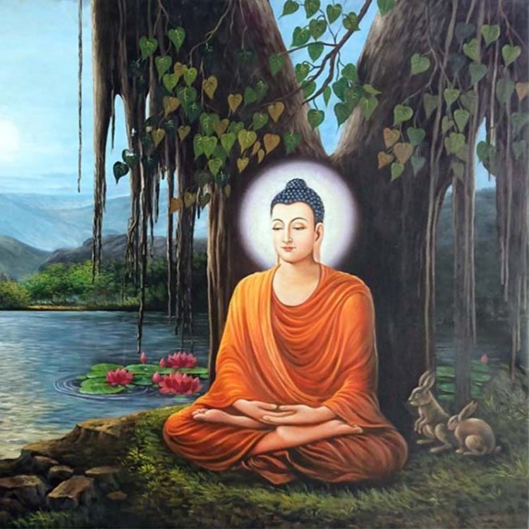 Thiền Phật Giáo Là Gì? Cách Thức Thực Hành