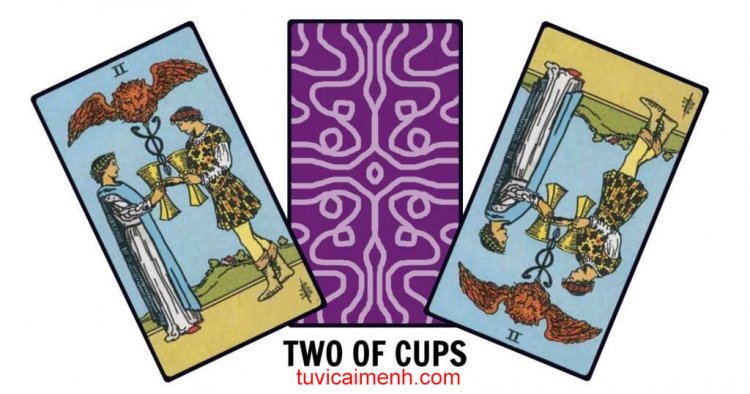 Lá Bài Two of Cups - Ý Nghĩa Tình Yêu, Sức Khỏe và Sự Nghiệp