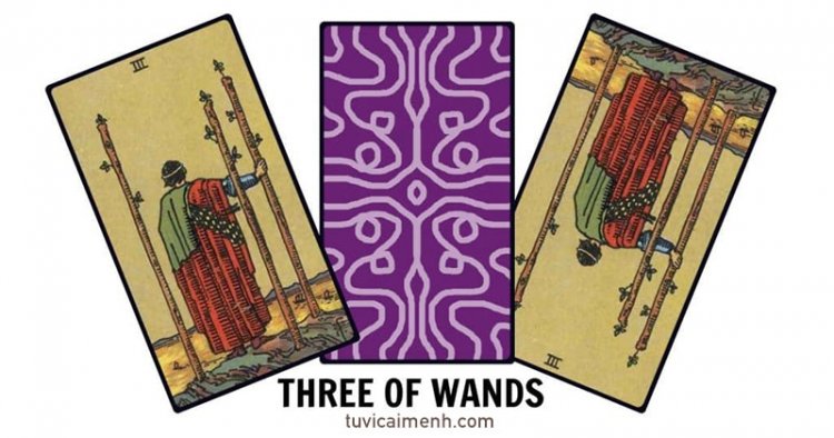 Lá Bài Three of Wands - Ý Nghĩa Tình Yêu, Sức Khỏe & Công Việc