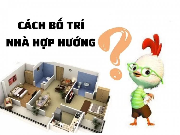 Tuổi Tân Dâu 1981 hợp hướng nào? bố trí nhà cho tuổi Tân Dậu